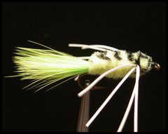 Wet Flies - Warmwater Fly Tyer - by Ward Bean