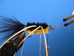 Wet Flies - Warmwater Fly Tyer - by Ward Bean
