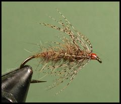 Partridge & Green Spider Soft hackle wet fly 3 Qty 