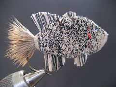 Black Crappie