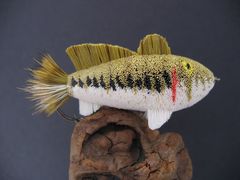 Largemouth Bass - Mounted