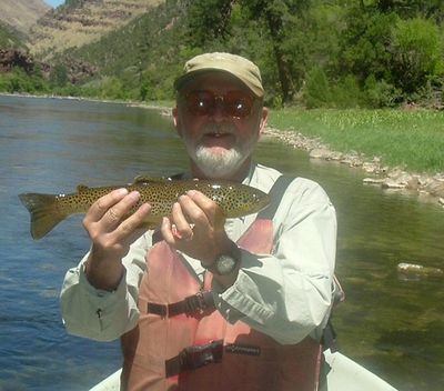 A typical Green River Brown Trout