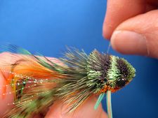 Divers and Sliders - Warmwater Fly Tyer - by Ward Bean