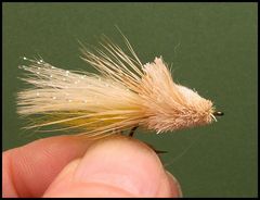 Divers and Sliders - Warmwater Fly Tyer - by Ward Bean