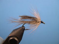 Featured Fly Tiers - Warmwater Fly Tyer - by Ward Bean